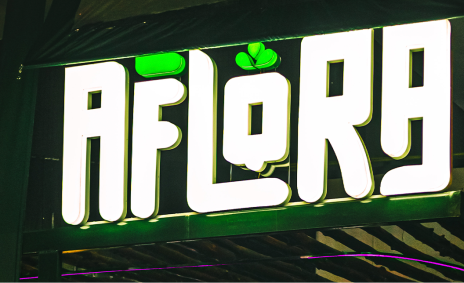 Camada 1746 copiar 2 1